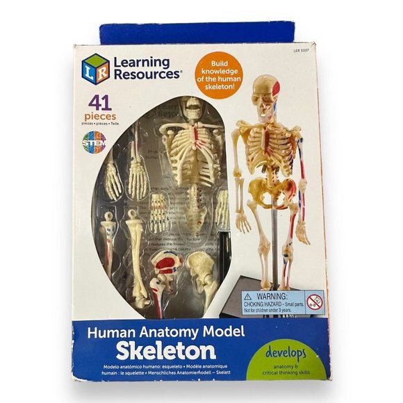 Learning Resources | Toys | Learning Resources Stem Human Anatomy ...